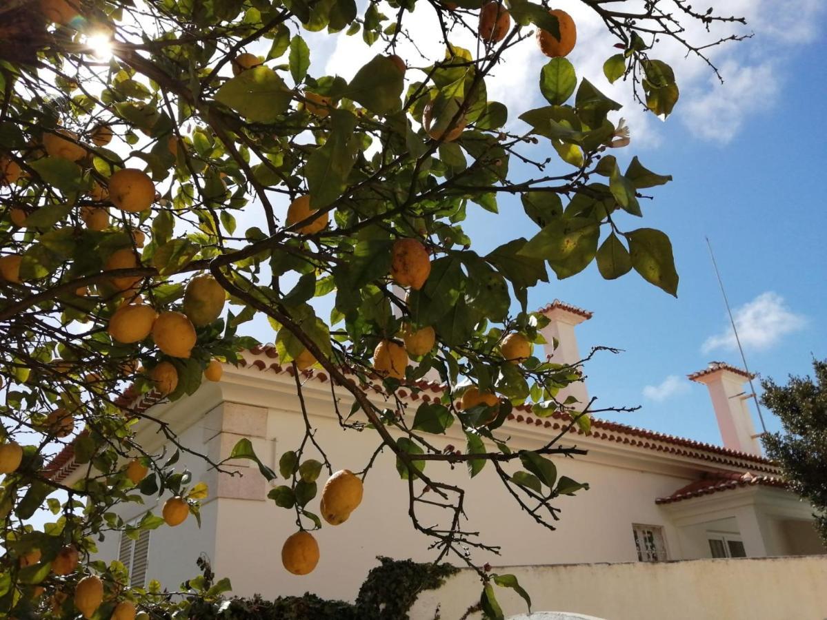 Limmo Garden - Alto Do Estoril Hotel Cascais Exterior photo